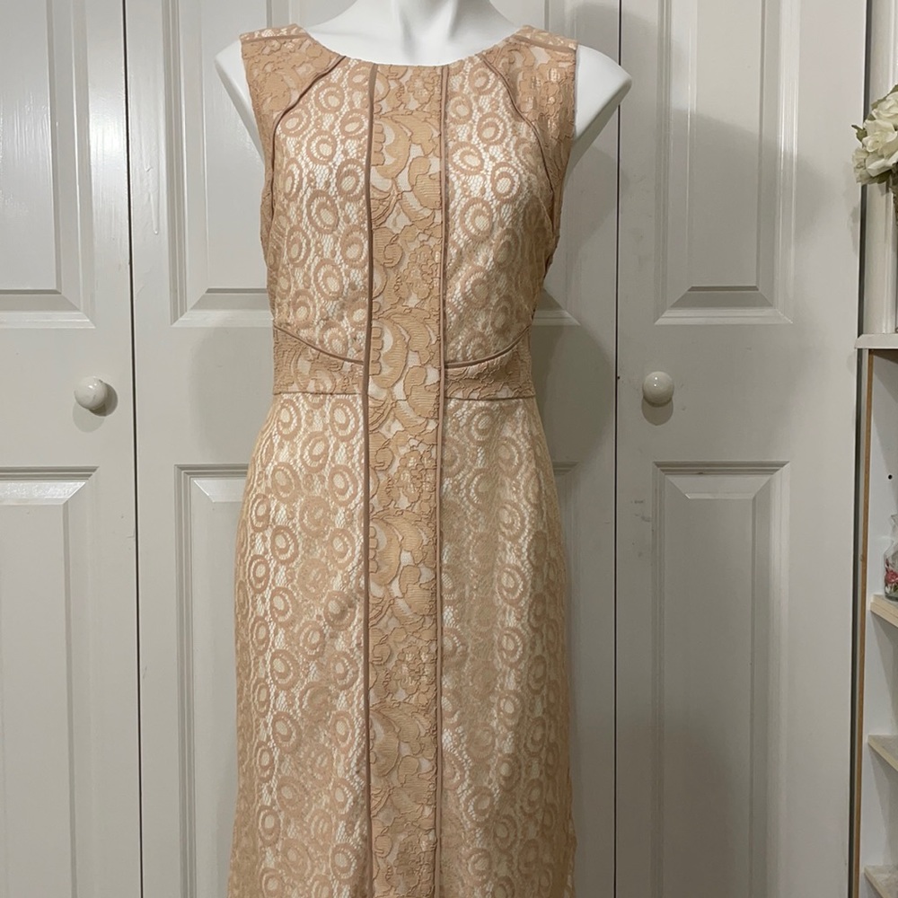 Preston & York Dress NWOT